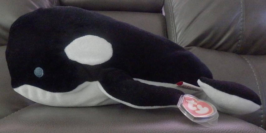 Tide the orca whale